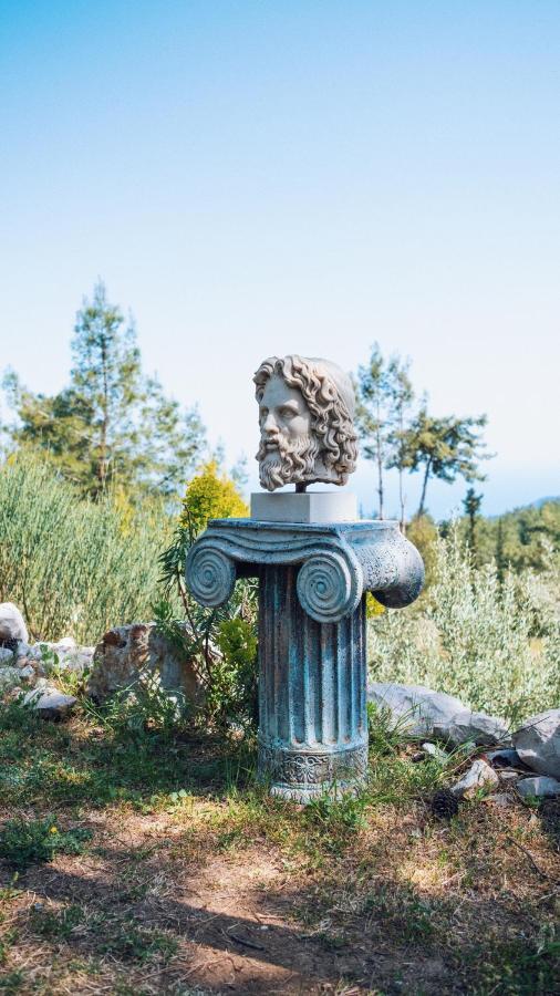 Beycik Olympos Mountain Lodge מראה חיצוני תמונה