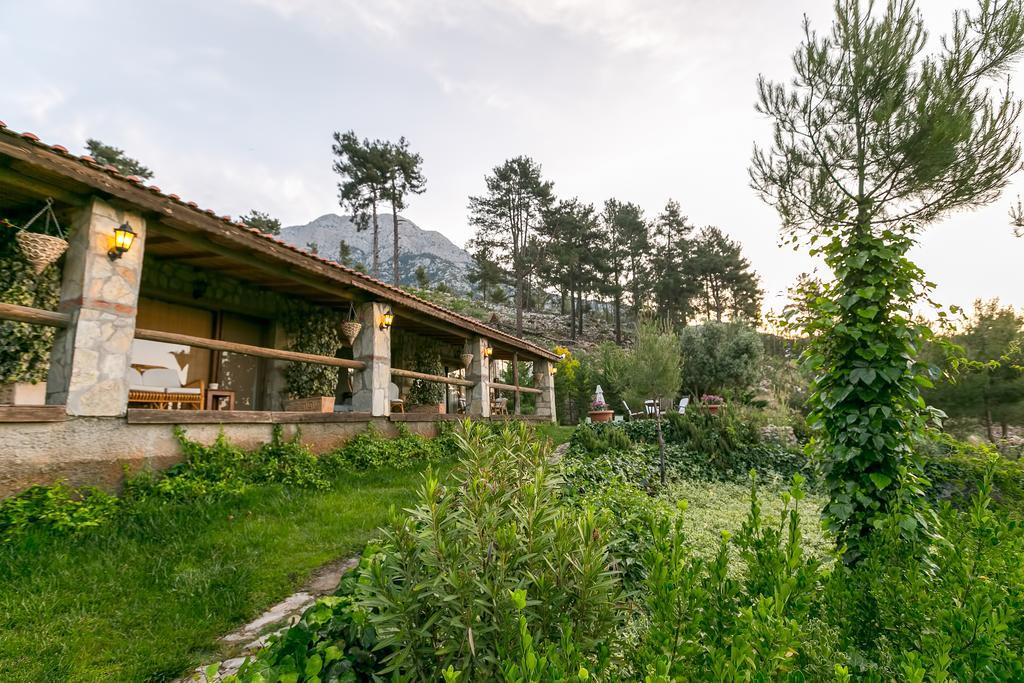 Beycik Olympos Mountain Lodge מראה חיצוני תמונה